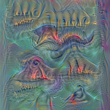 n07248320
